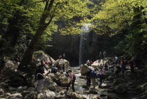 f28262e8-5b48-4533-9749-7e1b2d53e88b