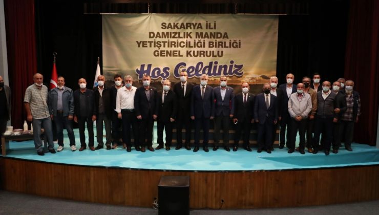 Sakarya hayvancılıkta söz sahibi olacak  Büyükşehir, Sakarya’da hayvancılığa ivme katacak bir tesis kuruyor