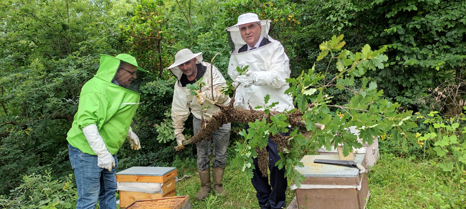 Sakarya arıcılıkta daha iyi noktalara ulaşacak” 2