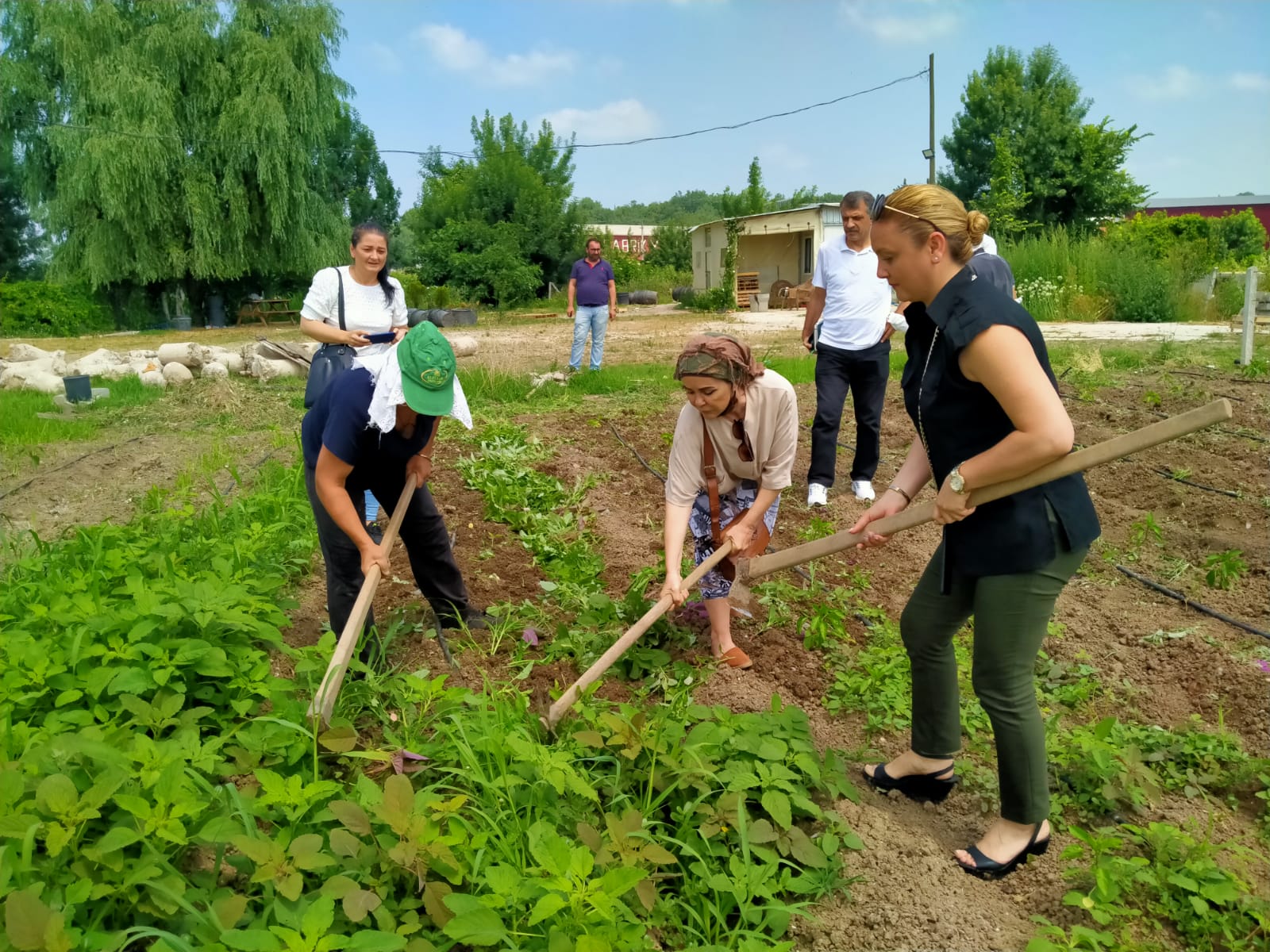 iYİ Parti Kadınları tarlaya indi
