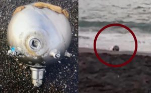 plaj-guvenlik-kordonuna-alindi