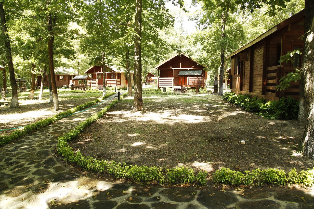 İl Ormanı sezonun gözdesi olacak