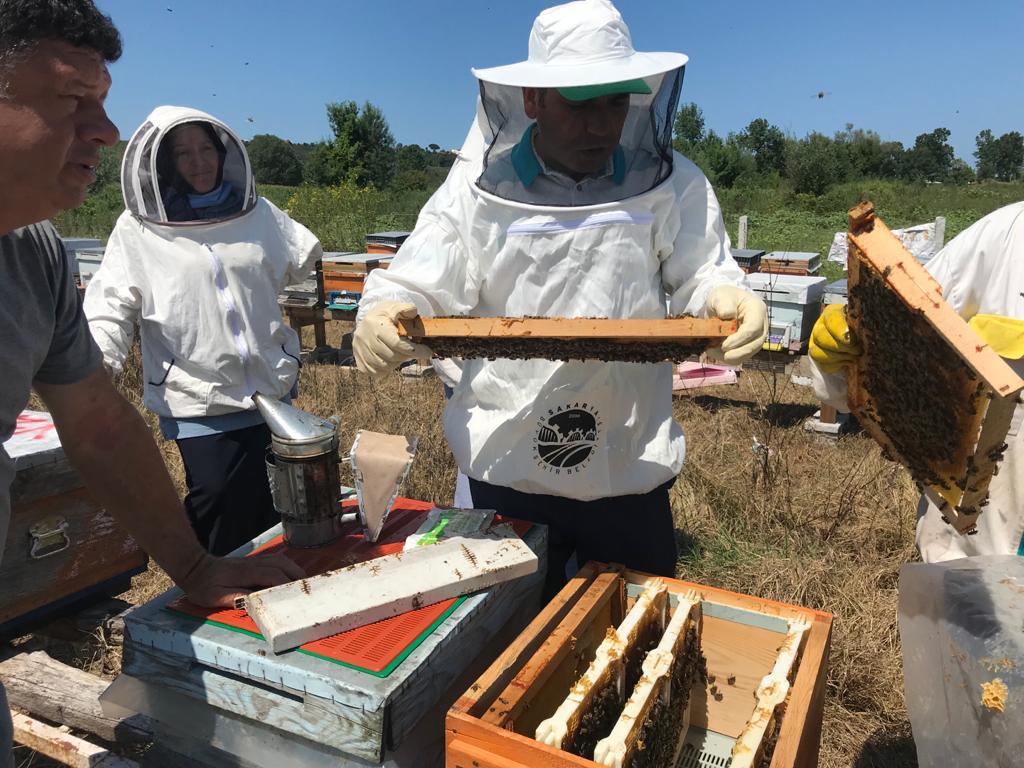 ana arı üretimi eğitimleri gerçekleştirildi