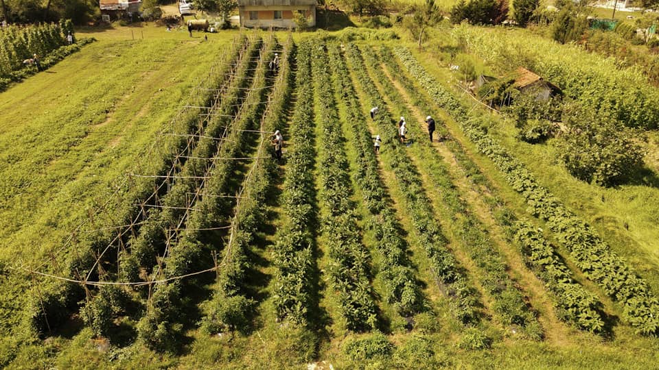 Kocaali-Bugünün Çocukları Tarımın GEleceği (1)