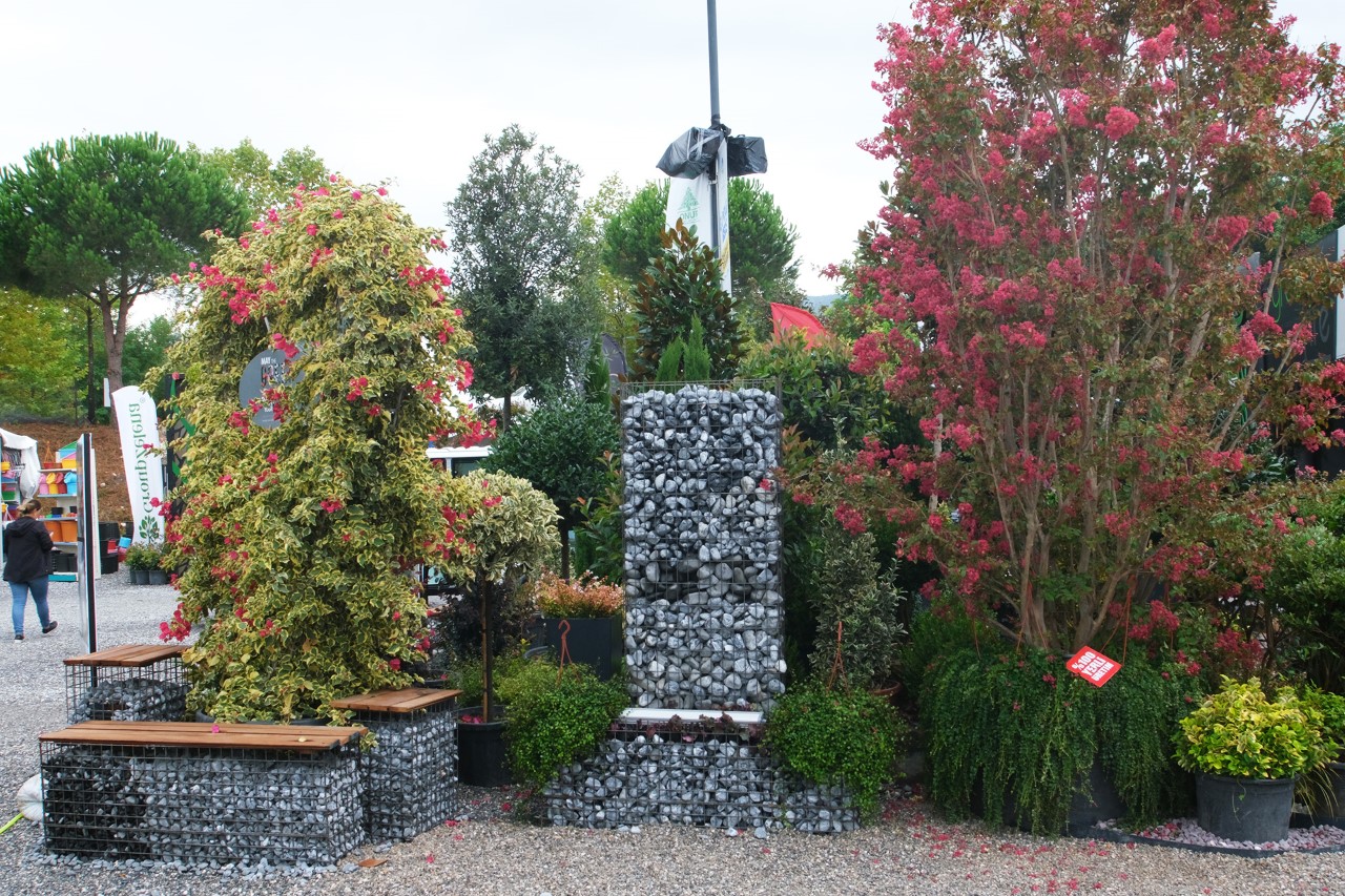 “PSB Anatolia ile dünya misafirimiz oldu”