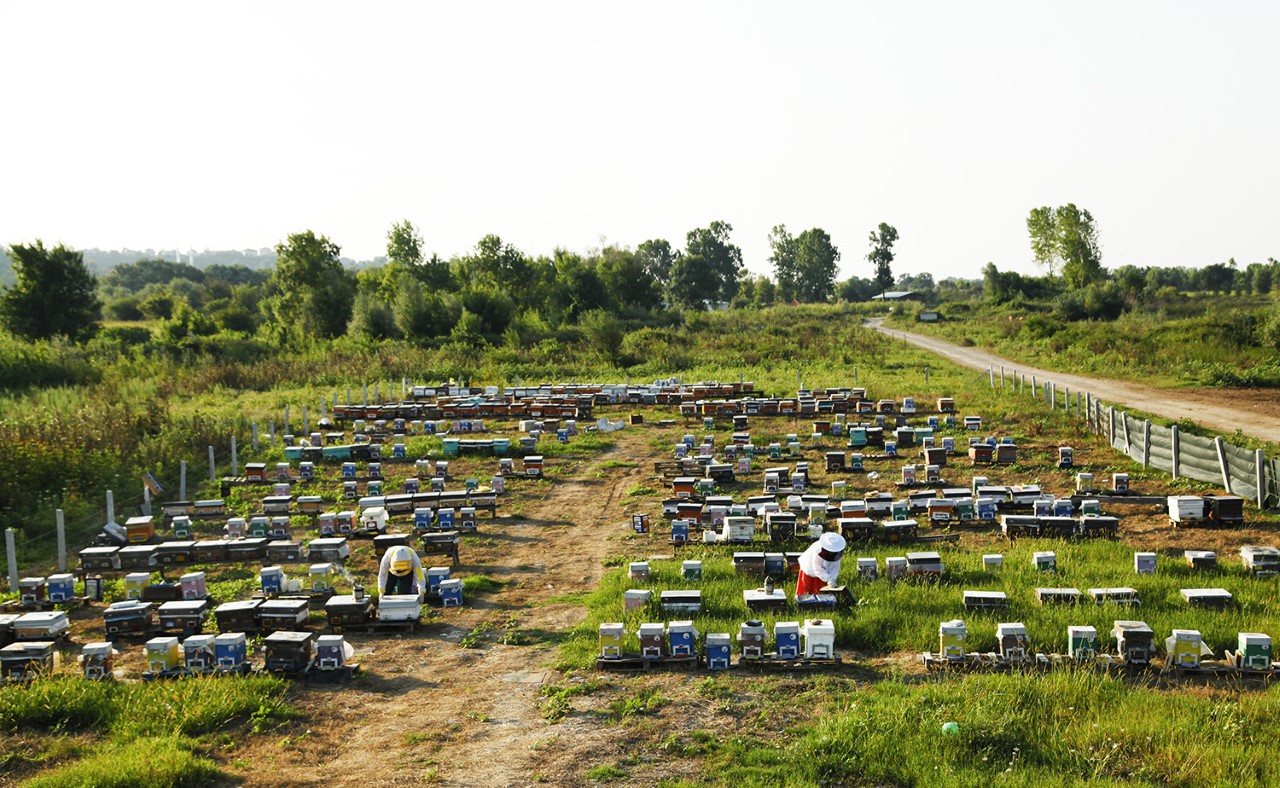 Büyükşehir’in ödüllü projesi ikinci yılında şehre 1 milyon 750 bin liralık katkı sağladı