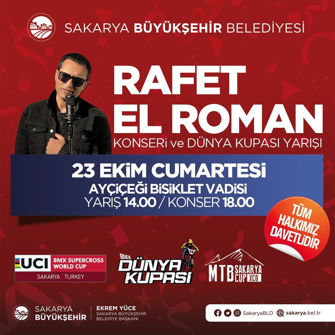 Rafet El Roman Ayçiçeği