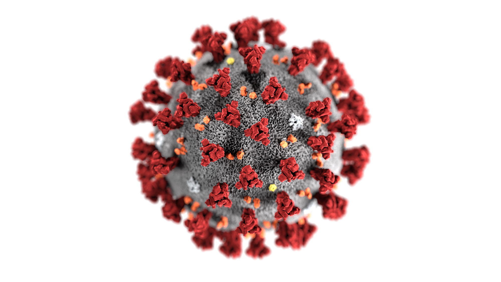 coronavirus-cdc-1585869759