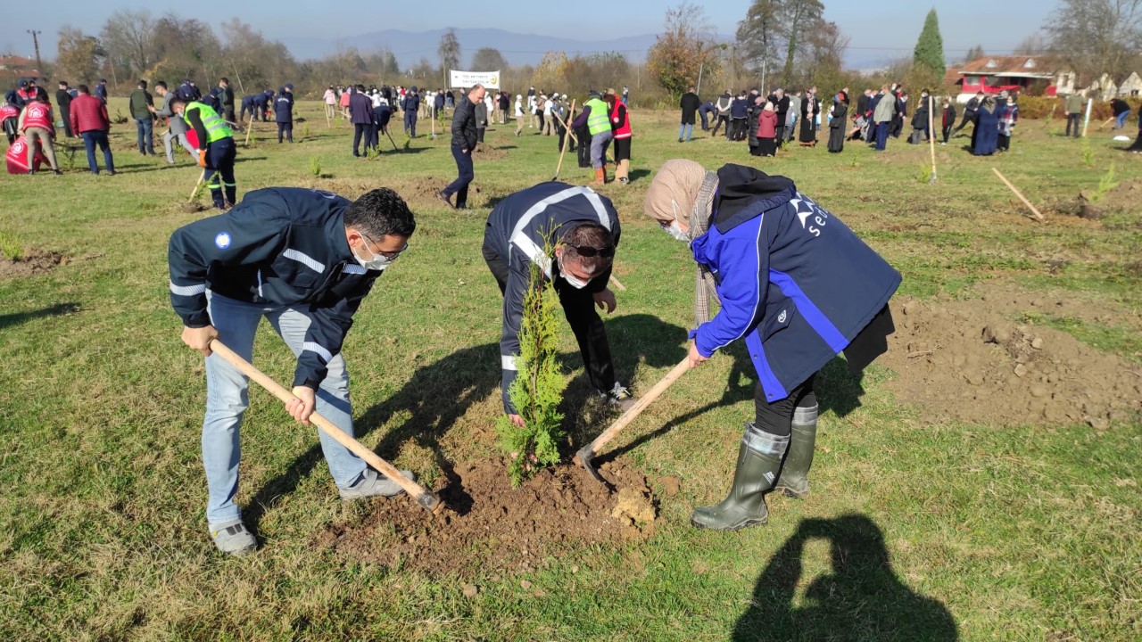 SEDAŞ Milli Ağaçlandırma Günü’nde 750 fidan dikti