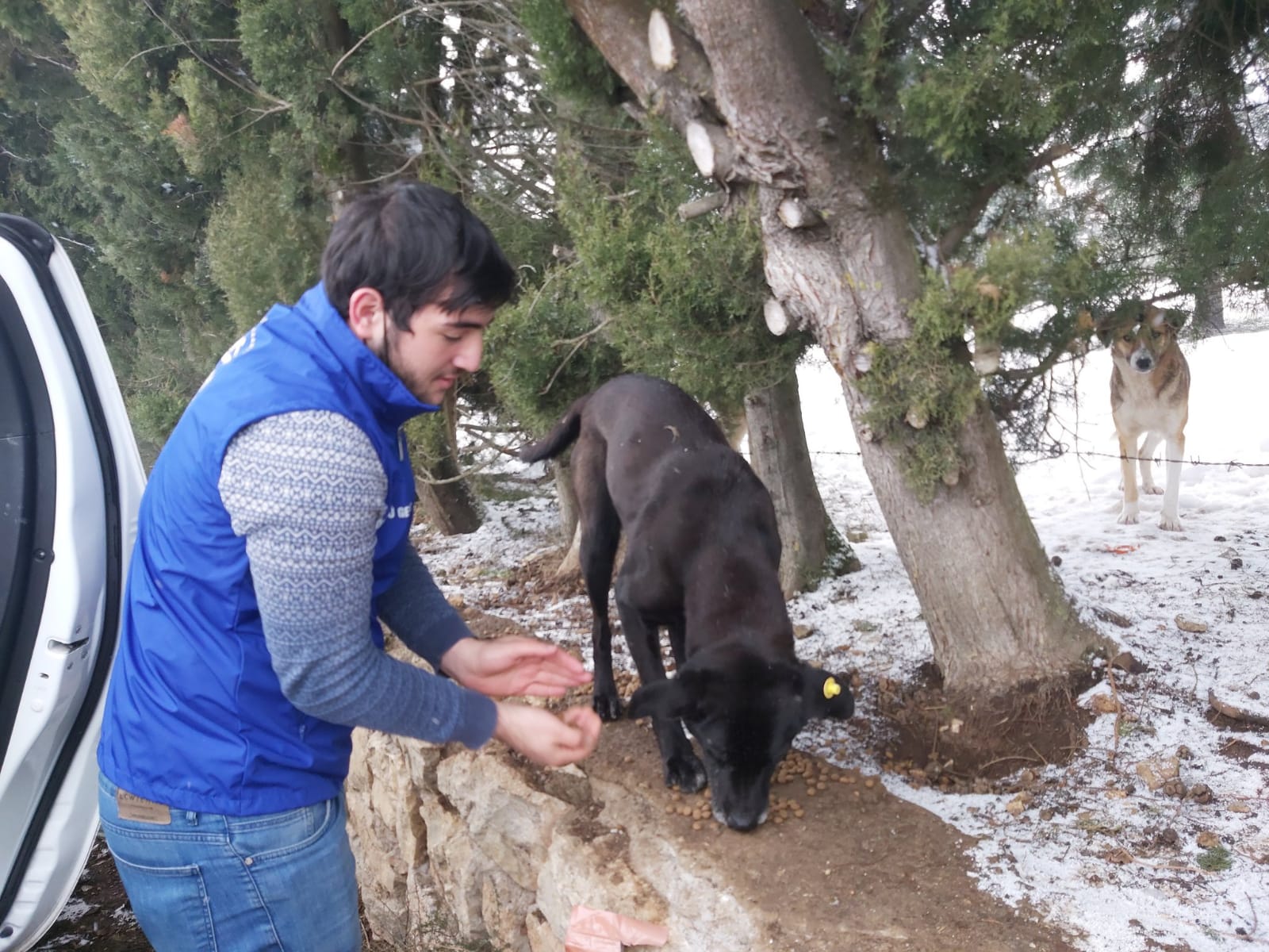 Sakarya Gençlik Merkezi (7)SEVGİ VE MERHAMET TİMLERİ HAYVANLARIDA UNU