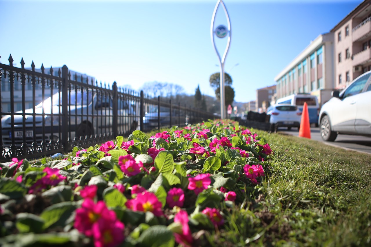 Şehrin sokakları rengârenk bi