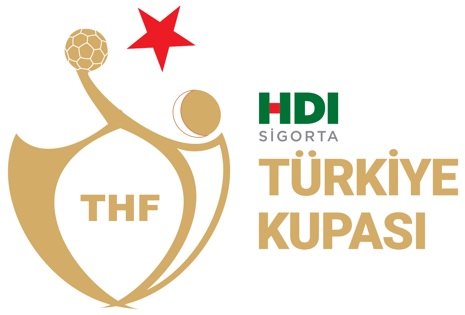 HDI Sigorta Türkiye Kupası