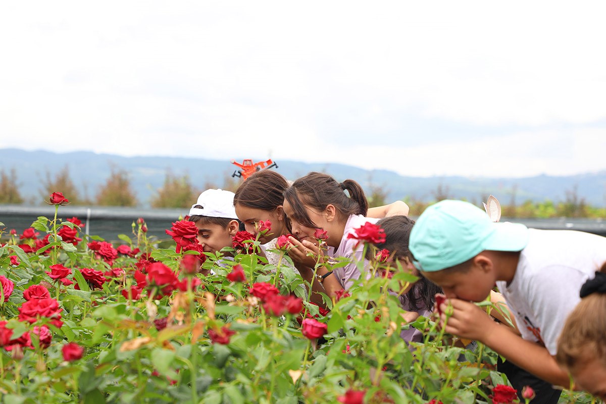 tarım projeleri genç kuşağa