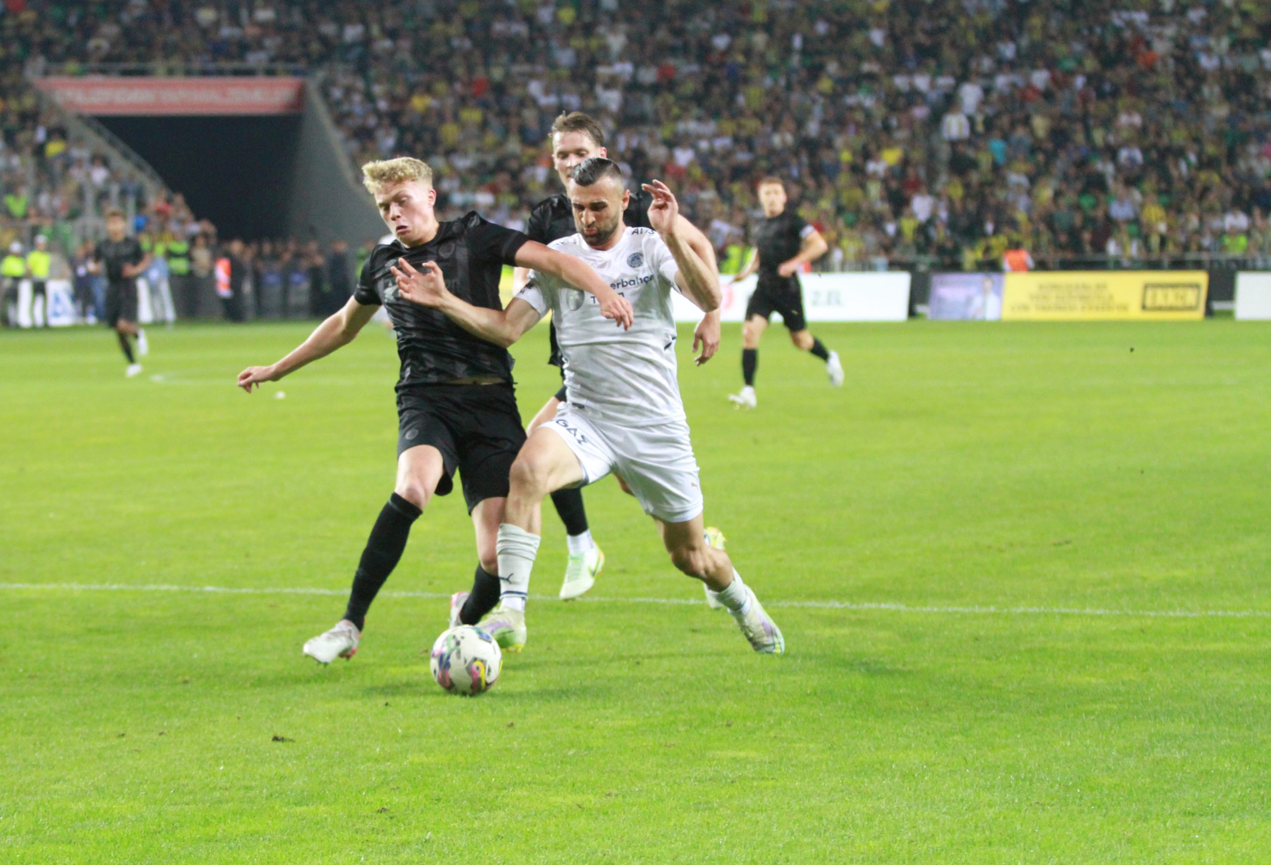 Fenerbahçe,Hull City2-0 (92)