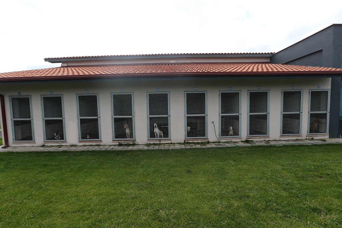 Can dostların en güvenli merkezi