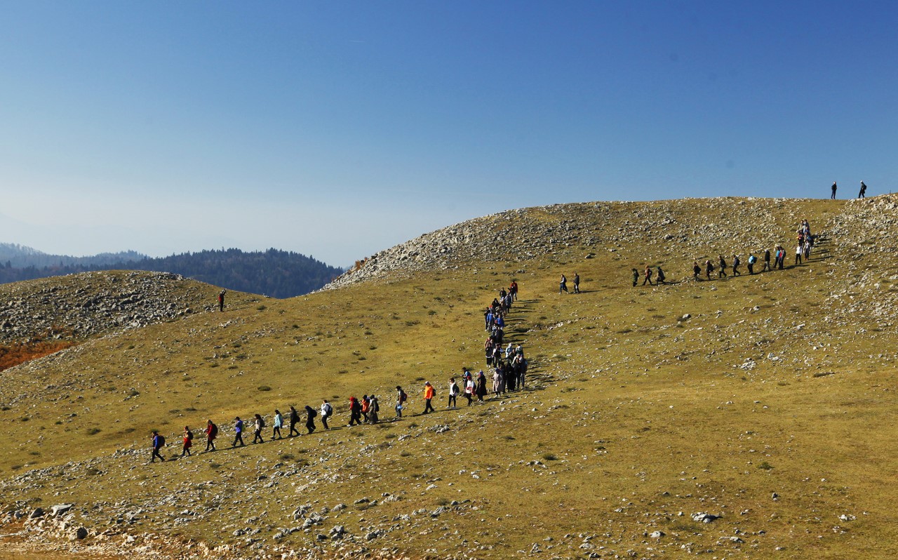 Doğanın sesini Di