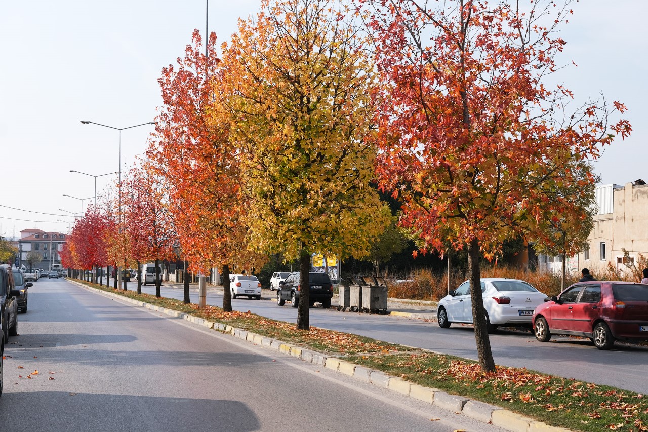 dokunduğu yollarda sonbahar esintisi
