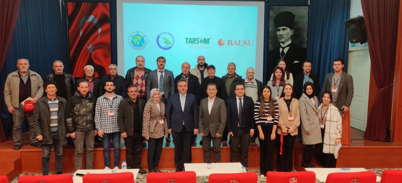 HENDEK’TE FINDIK TARIMI