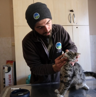 Büyükşehir veteriner ekibi Antakya’da can dostlarının yaralarını sarıyor