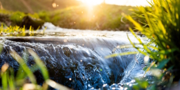 generali sigorta su günü