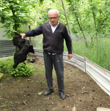 TAVUK VE HOROZLARI BAŞIBOŞ KÖPEKLER TARAFINDAN TELEF EDİLDİ DURUMA TEPKİ GÖSTEREN VATANDAŞ, BELEDİYEDEN YARDIM İSTEDİ