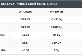 ferizli