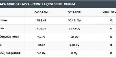 ferizli