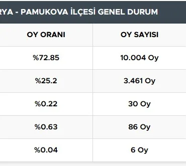 pamukova