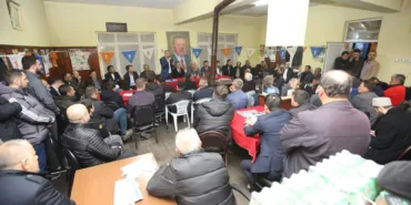 thumbnail_TURNADERE (14)