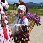 116 YILDIR DEVAM EDEN GELENEK: GELİN GİBİ SÜSLENEN HAYVANLARI İLE GÖÇE BAŞLADILAR HENDEK DİKMEN YAYLASI'NDA ŞENLİK HAVASINDA YAYLA YOLCULUĞU GELİN GİBİ SÜSLEDİKLERİ HAYVANLAR İLE KEMENÇE, DAVUL VE ZURNA EŞLİĞİNDE YOLLARA DÜŞTÜLER