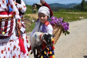 116 YILDIR DEVAM EDEN GELENEK: GELİN GİBİ SÜSLENEN HAYVANLARI İLE GÖÇE BAŞLADILAR HENDEK DİKMEN YAYLASI'NDA ŞENLİK HAVASINDA YAYLA YOLCULUĞU GELİN GİBİ SÜSLEDİKLERİ HAYVANLAR İLE KEMENÇE, DAVUL VE ZURNA EŞLİĞİNDE YOLLARA DÜŞTÜLER