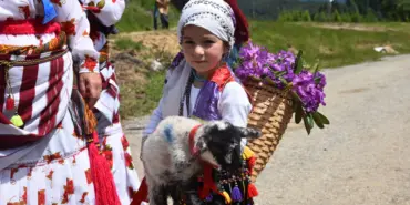 116 YILDIR DEVAM EDEN GELENEK: GELİN GİBİ SÜSLENEN HAYVANLARI İLE GÖÇE BAŞLADILAR HENDEK DİKMEN YAYLASI'NDA ŞENLİK HAVASINDA YAYLA YOLCULUĞU GELİN GİBİ SÜSLEDİKLERİ HAYVANLAR İLE KEMENÇE, DAVUL VE ZURNA EŞLİĞİNDE YOLLARA DÜŞTÜLER