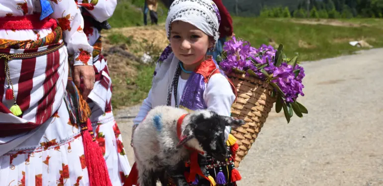 116 YILDIR DEVAM EDEN GELENEK: GELİN GİBİ SÜSLENEN HAYVANLARI İLE GÖÇE BAŞLADILAR HENDEK DİKMEN YAYLASI'NDA ŞENLİK HAVASINDA YAYLA YOLCULUĞU GELİN GİBİ SÜSLEDİKLERİ HAYVANLAR İLE KEMENÇE, DAVUL VE ZURNA EŞLİĞİNDE YOLLARA DÜŞTÜLER