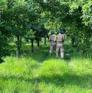 MEYVE HIRSIZLIKLARINA JANDARMADAN ÖNLEM