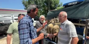 BAYRAMA SAYILI GÜNLER KALA KURBAN PAZARLARINDA HAREKETLİLİK KURBANLIKLAR İÇİN SIKI PAZARLIKLAR SÜRÜYOR