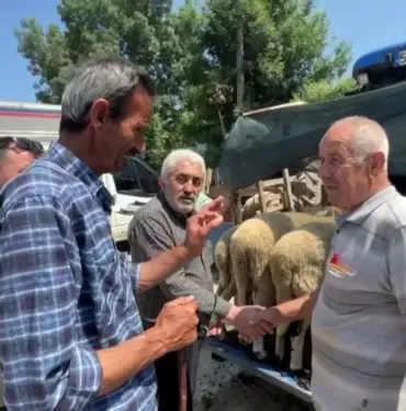 BAYRAMA SAYILI GÜNLER KALA KURBAN PAZARLARINDA HAREKETLİLİK KURBANLIKLAR İÇİN SIKI PAZARLIKLAR SÜRÜYOR
