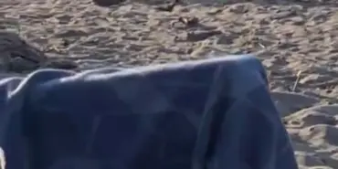 ÇEVREYE RAHATSIZLIK VERDİĞİ İDDİA EDİLEN KİŞİYE DENİZDE MEYDAN DAYAĞI O ANLARI 'HAK ETTİLER' DİYEREK KAYDETTİ