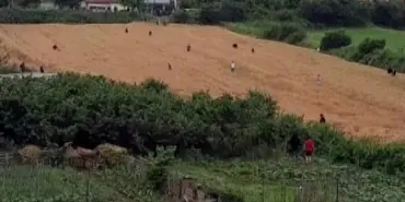 CEZAEVİNE GÖTÜRÜLDÜĞÜ ESNADA FİRAR ETTİ, ORTALIK KARIŞTI EKİP OTOSUNA BİNDİRİLİRKEN KAÇTI, TARLADA BULUNAN DEPODA YAKALANDI