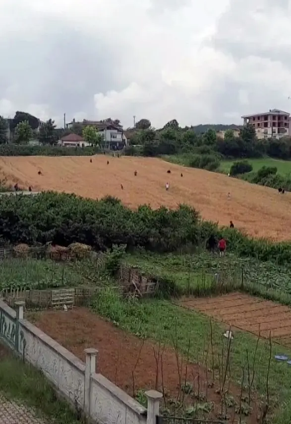 Cezaevine götürüldüğü esnada firar etti, ortalık karıştı 1 Cezaevine götürüldüğü esnada firar etti, ortalık karıştı