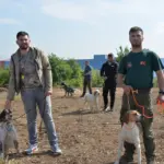 ERMALI AV KÖPEKLERİ MERA VE GÜZELLİK YARIŞMASI BAŞLIYOR