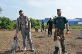 ERMALI AV KÖPEKLERİ MERA VE GÜZELLİK YARIŞMASI BAŞLIYOR