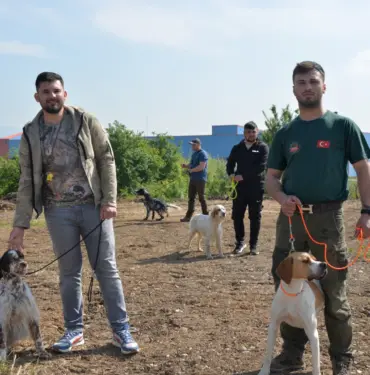 ERMALI AV KÖPEKLERİ MERA VE GÜZELLİK YARIŞMASI BAŞLIYOR