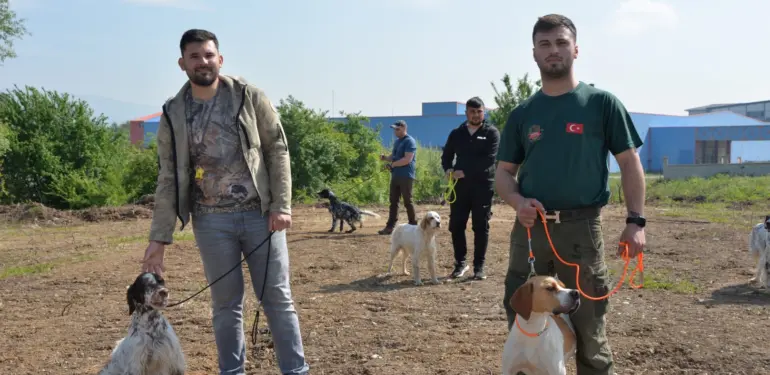 ERMALI AV KÖPEKLERİ MERA VE GÜZELLİK YARIŞMASI BAŞLIYOR
