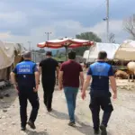 Kurban Satış