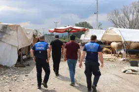 Kurban Satış