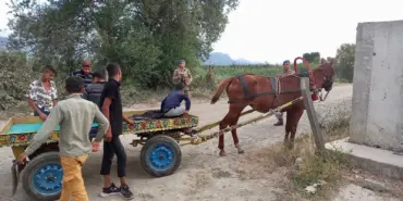 MEYVE HIRSIZLIKLARINA JANDARMADAN ÖNLEM