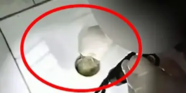 UYUŞTURUCU BAKIN NEREDEN ÇIKTI SAKARYA'DA UYUŞTURUCU OPERASYONUNDA BİR AYDA 265 KİŞİ YAKALANDI