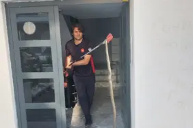 3 BUÇUK METRELİK YILAN BÖYLE YAKALANDI