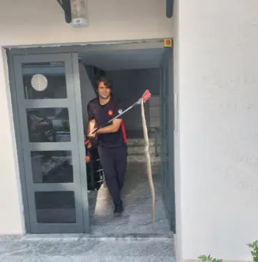 3 BUÇUK METRELİK YILAN BÖYLE YAKALANDI