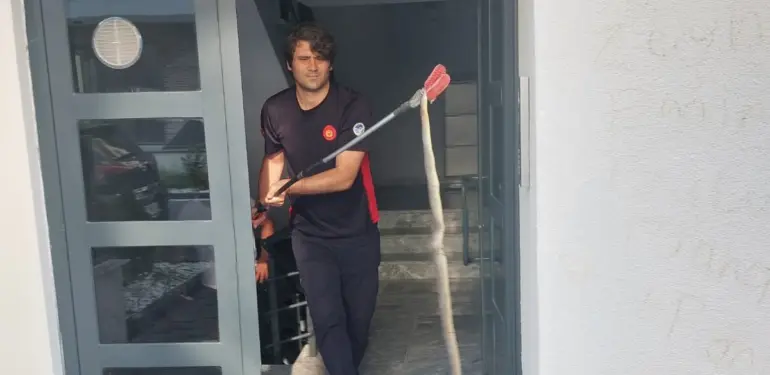 3 BUÇUK METRELİK YILAN BÖYLE YAKALANDI